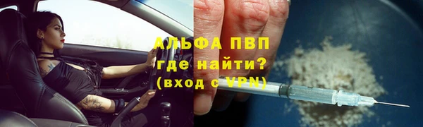 гидра Алексеевка