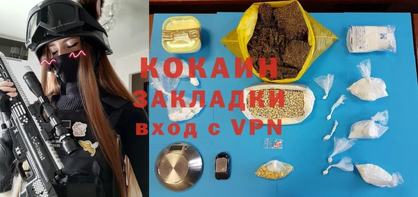 гидра Алексеевка