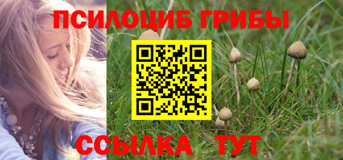 Псилоцибиновые грибы Тверь