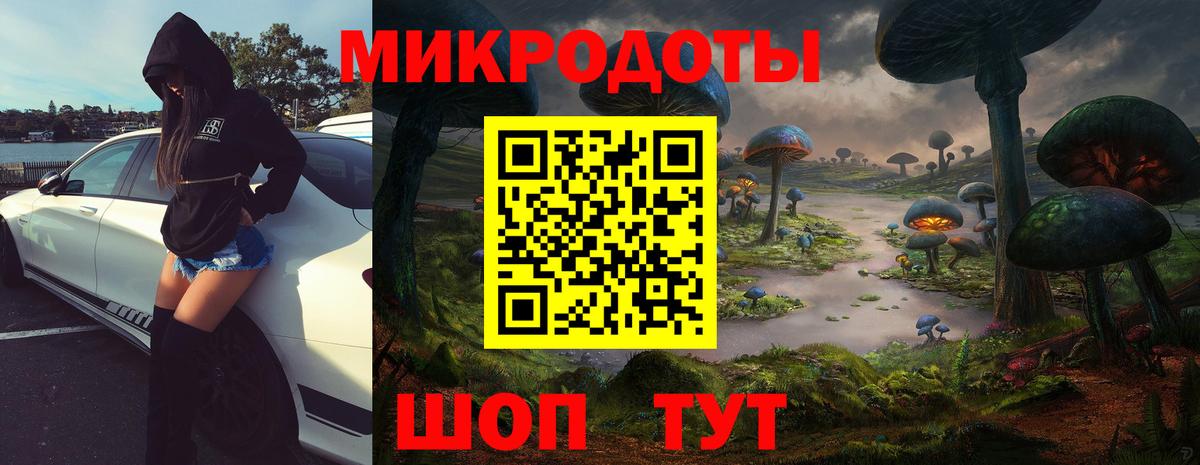 Псилоцибиновые грибы Psilocybe  Вход с VPN  Тверь  Псилоцибиновые грибы ЛСД 