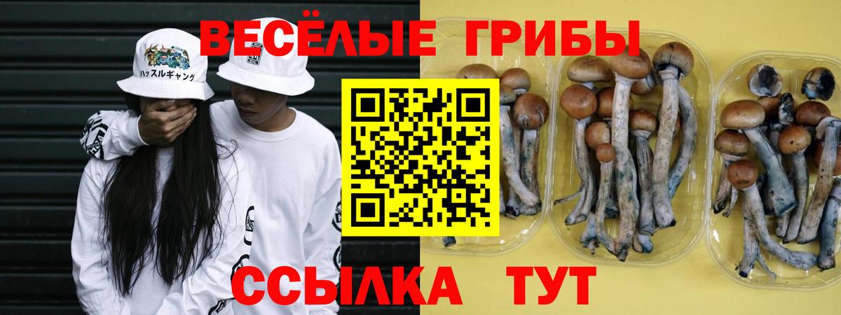Псилоцибиновые грибы MAGIC MUSHROOMS Тверь