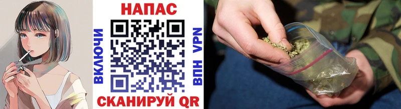 Бошки марихуана планчик  Тверь 