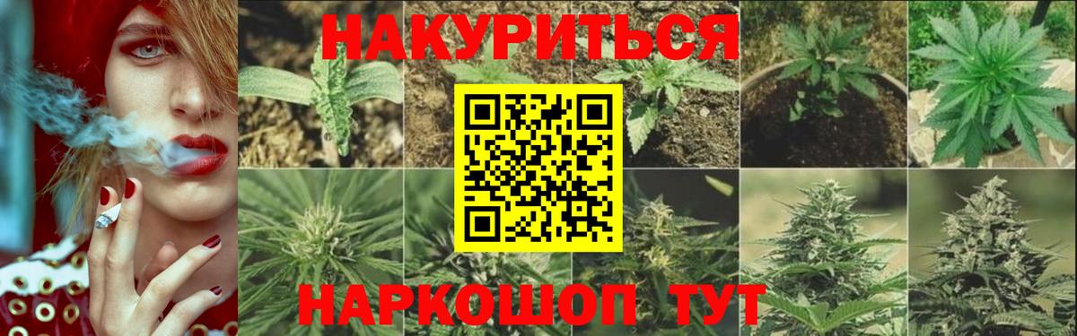 Марихуана конопля  Бошки Шишки ГИДРОПОН  Каннабис план  Тверь  Вход с VPN  Марихуана Bruce Banner 